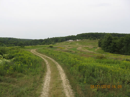 Ridge and Furrow Beds View 1